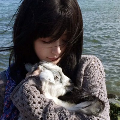 反斗智多星2海报