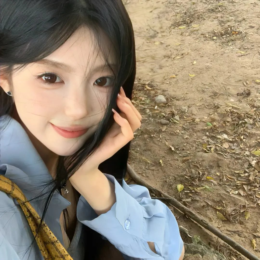 自由鸟海报
